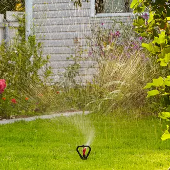 Residential pop up sprinkler Water Dynamics