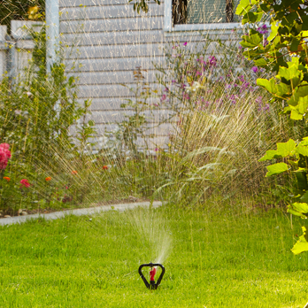 Residential pop up sprinkler Water Dynamics