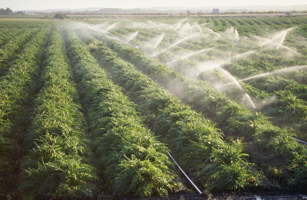 Irrigating Crops - Water Dynamics