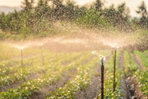 irrigation-sprinklers