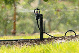 micro irrigation