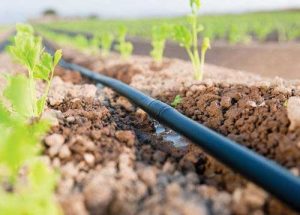 drip-irrigation-system