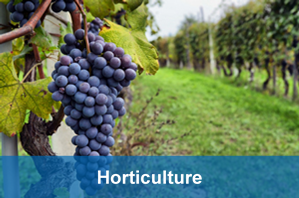 horticulture industry water dynamics