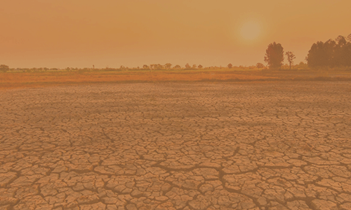 El Nino Dirt