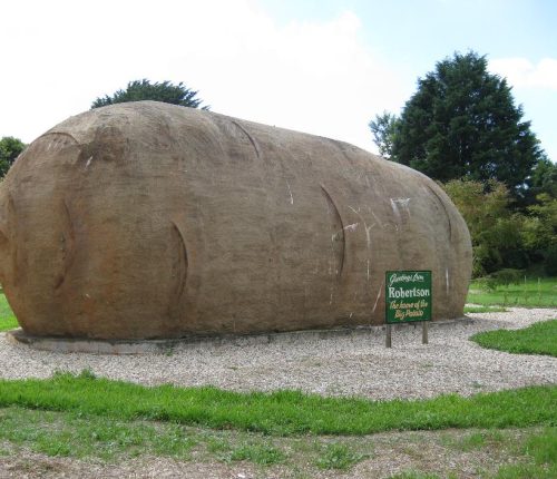 Big Potato in Robertson