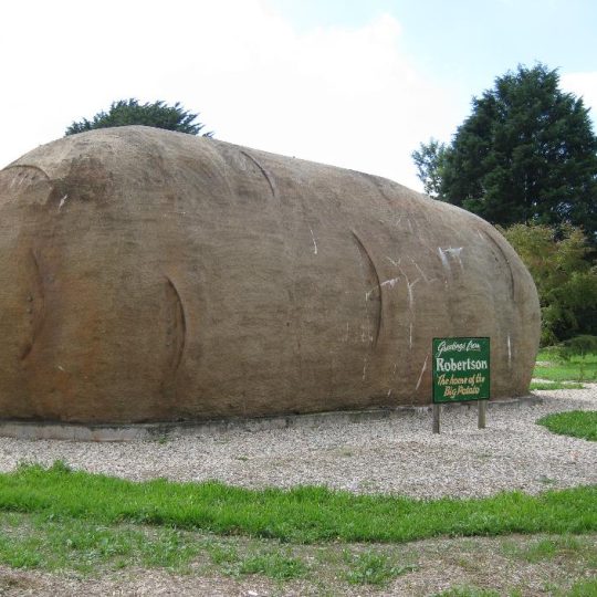 Big Potato in Robertson