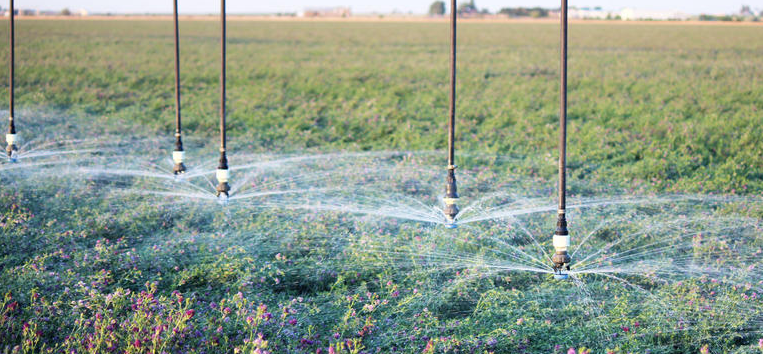 Senniger bubble sprinklers