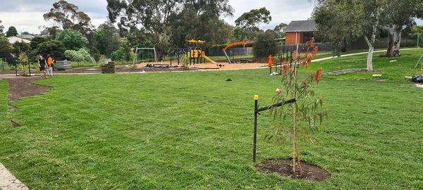 environmental irrigation system