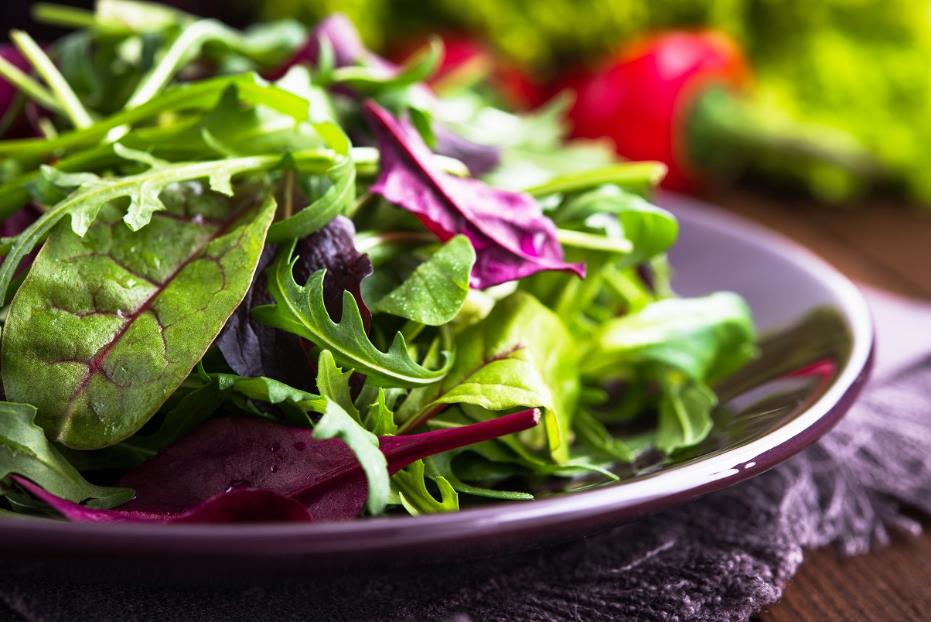 appetising lettuce leaves