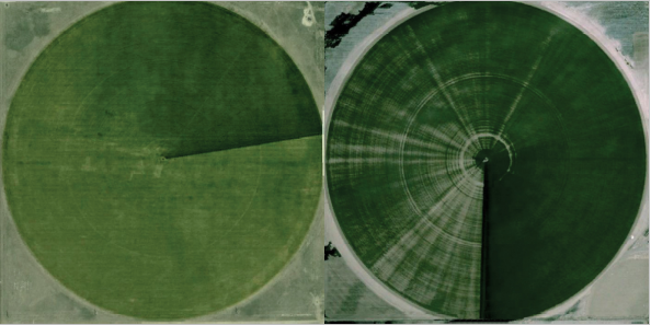 sprinkler coverage