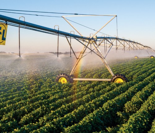 T-L Pivots