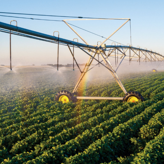 T-L Pivots