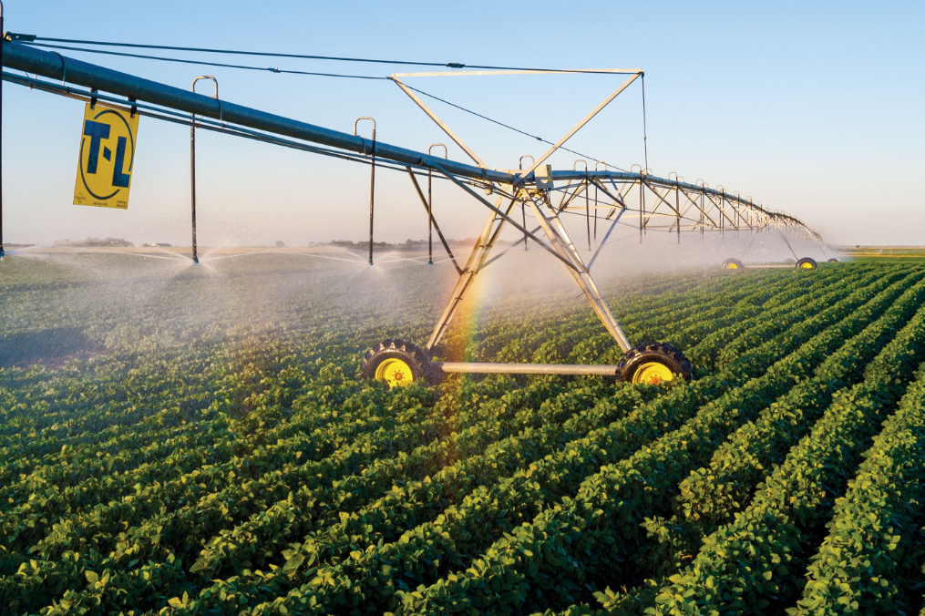 T-L Pivots