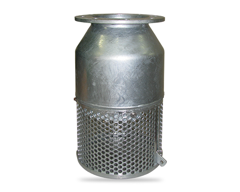 Foot valve